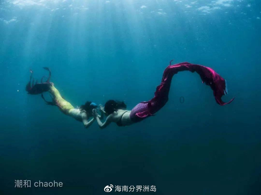 全民烧脑3去广告版